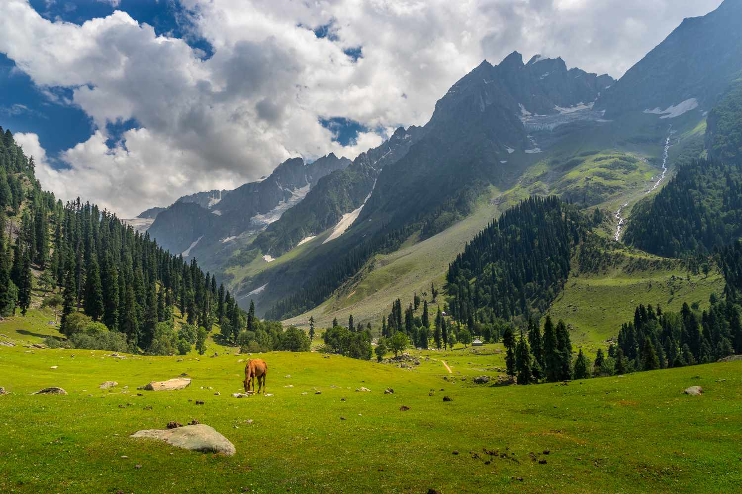 Kashmir